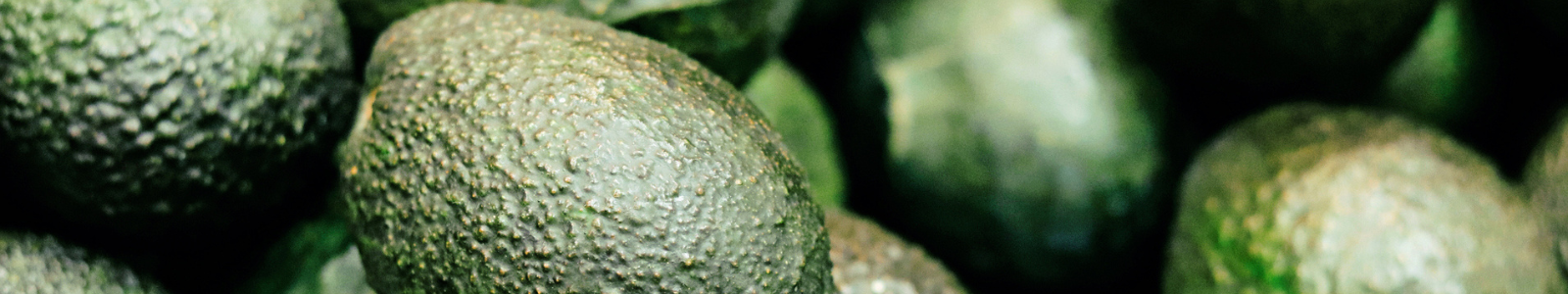 Close up of avocados