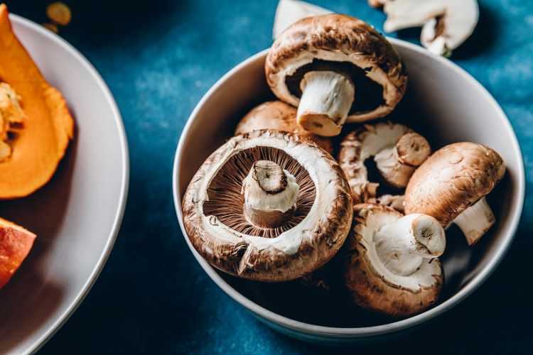 Close-up of mushrooms in a bowl