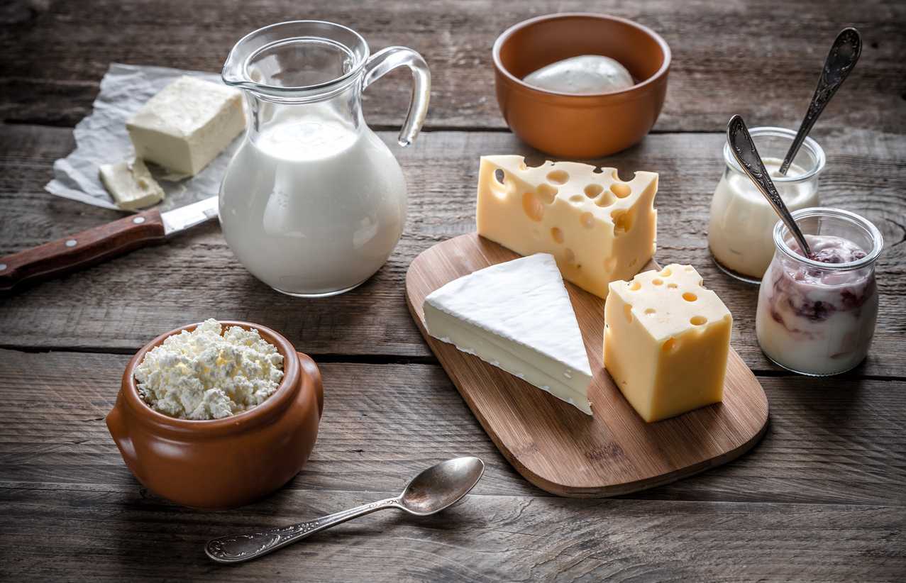 Milk, cheese and other sources of dairy